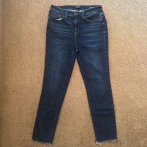 Women’s Judy Blue Skinny jeans size 9/29
